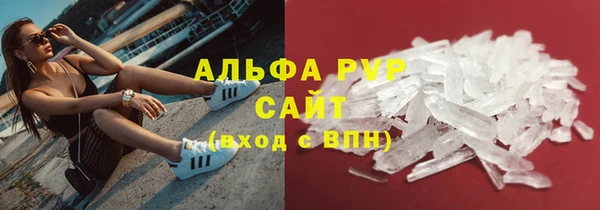 прущие грибы Горняк