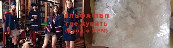 амф Гусиноозёрск