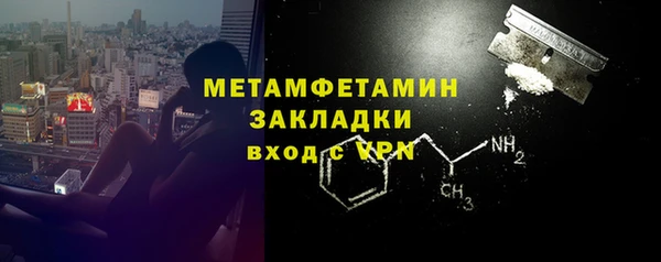 прущие грибы Горняк