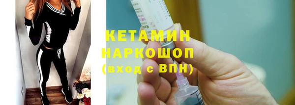 прущие грибы Горняк