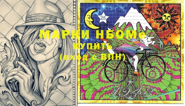 амф Гусиноозёрск