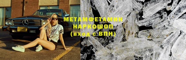 прущие грибы Горняк