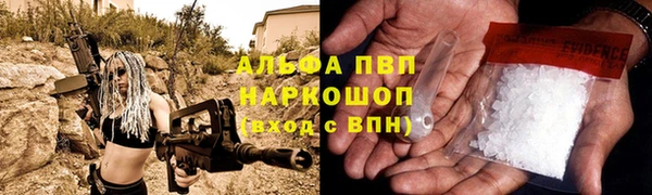 ГАЛЛЮЦИНОГЕННЫЕ ГРИБЫ Волосово